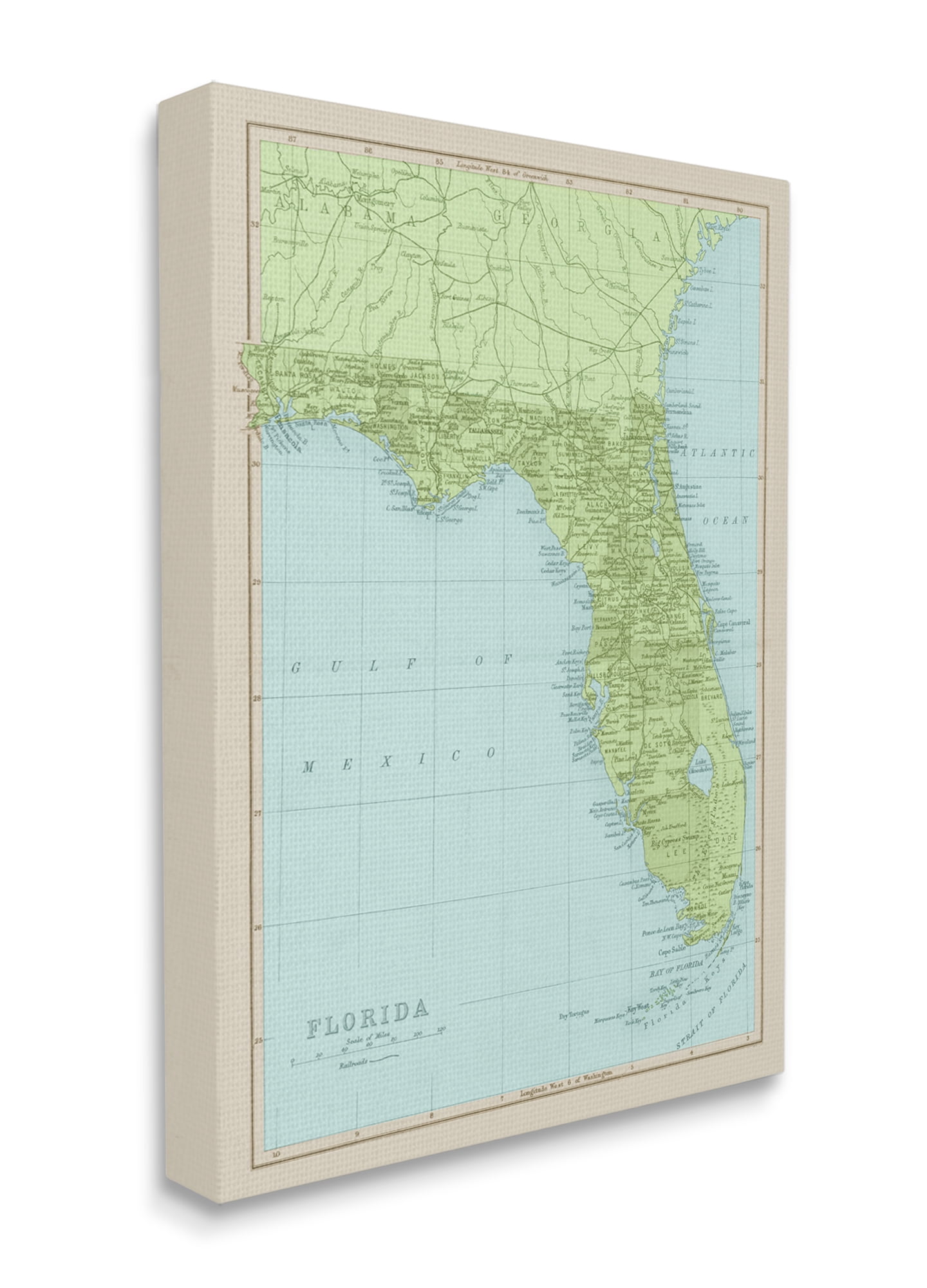 Stupell Industries Map Of Florida Classical State Border Canvas Wall Art, 36 x 48, Design by Daphne Polselli
