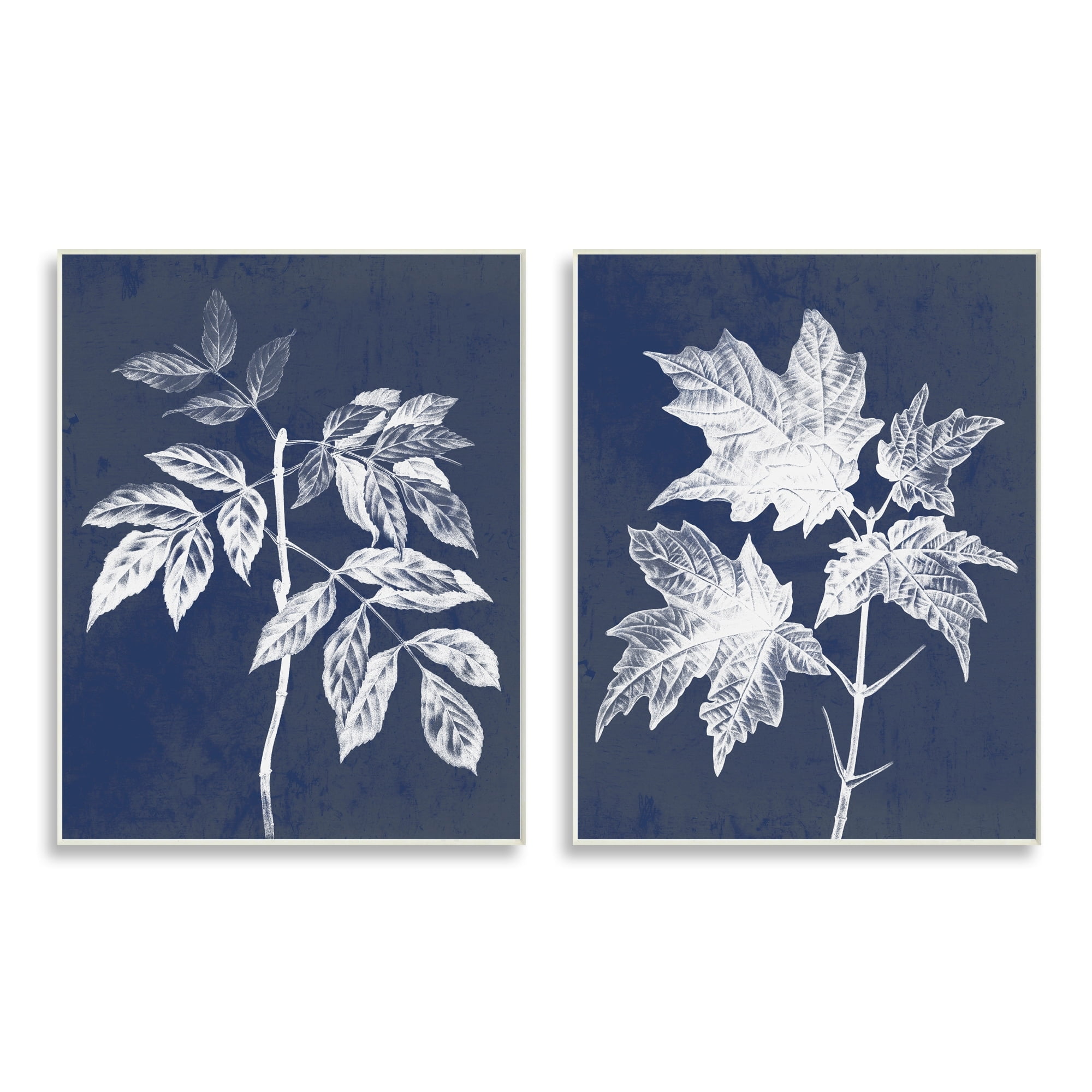 Stupell Industries Maple Leaf Elm Stem Vintage Blue White Illustration, 13 x 19,Design by Daphne Polselli