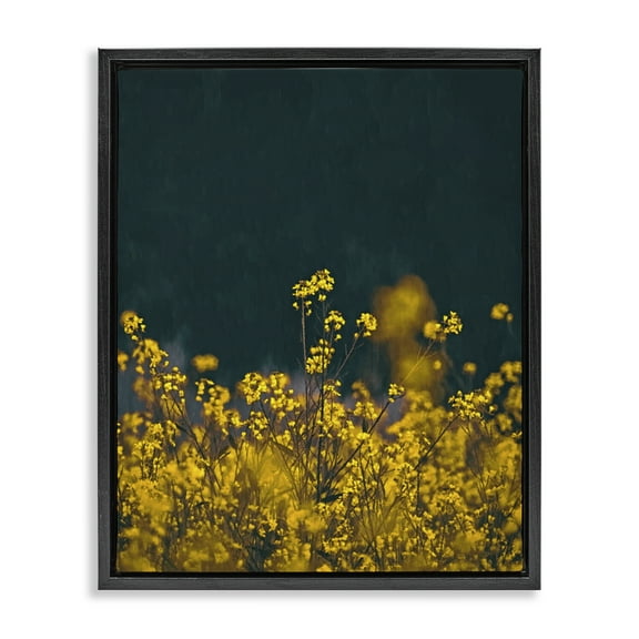 Stupell Industries Marigold Meadow Flowers Plants & Flowers Photography Black Floater Framed Canvas Art Print Wall Art, 17 x 21
