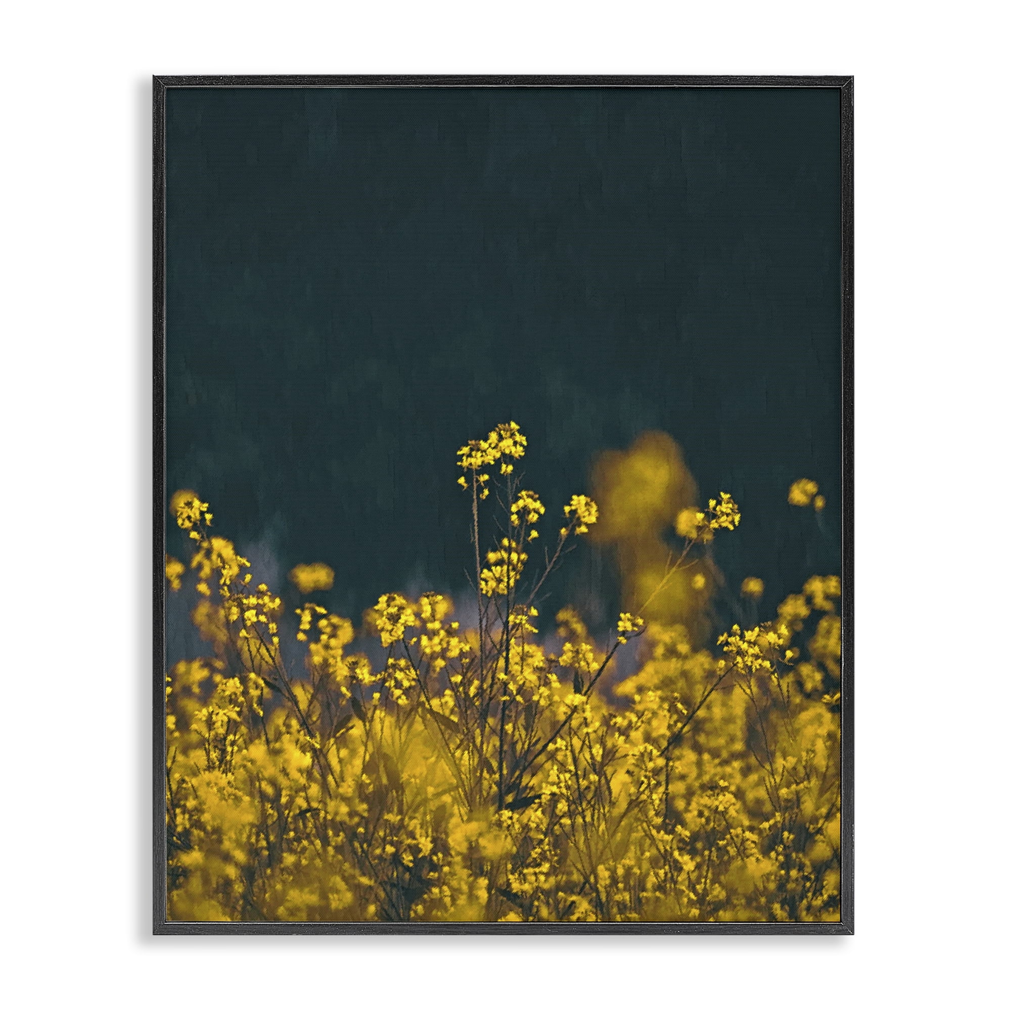 Stupell Industries Marigold Meadow Flowers Plants & Flowers Photography Black Framed Art Print Wall Art, 16 x 20