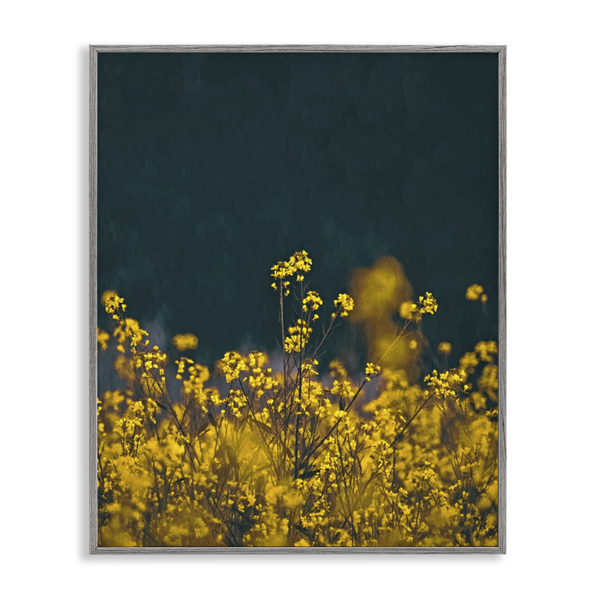 Stupell Industries Marigold Meadow Flowers Plants & Flowers Photography Gray Framed Art Print Wall Art, 24 x 30