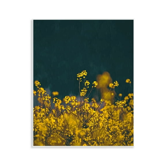 Stupell Industries Marigold Meadow Flowers Plants & Flowers Photography Unframed Art Print Wall Art, 11 x 14