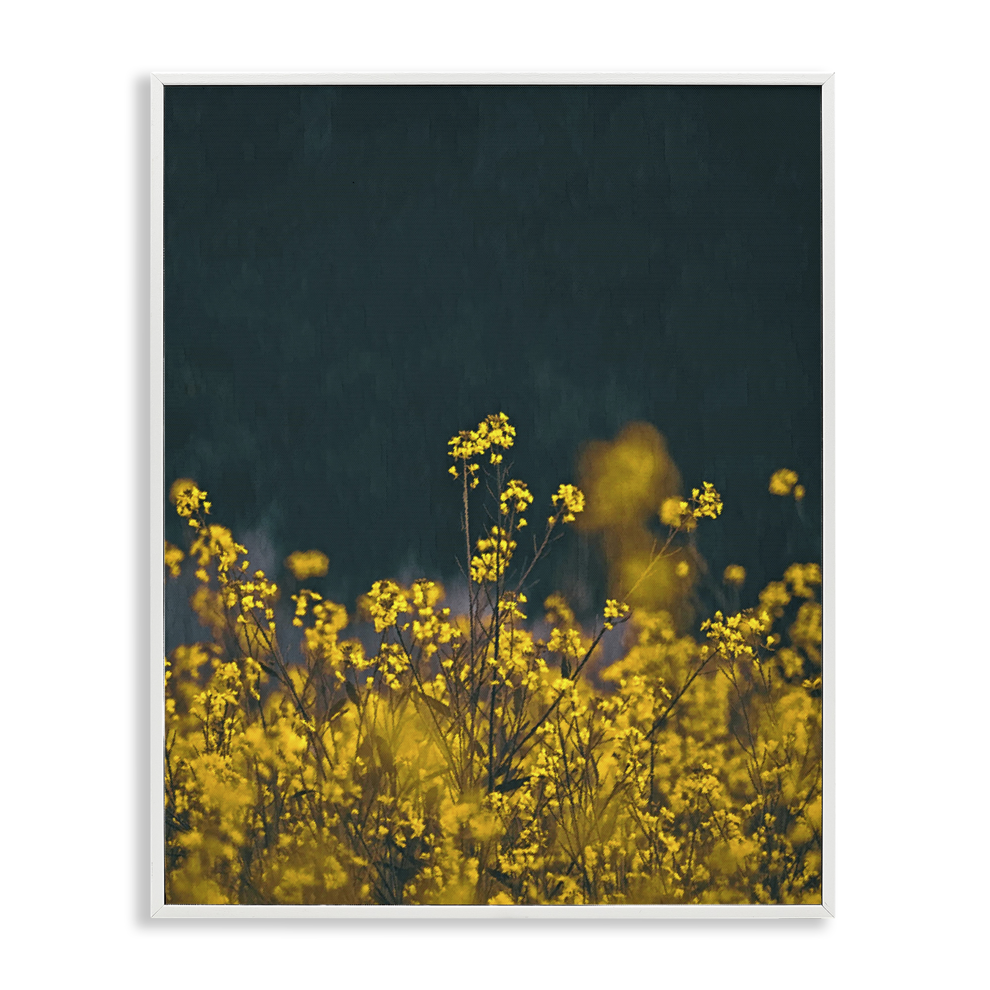 Stupell Industries Marigold Meadow Flowers Plants & Flowers Photography White Framed Art Print Wall Art, 11 x 14