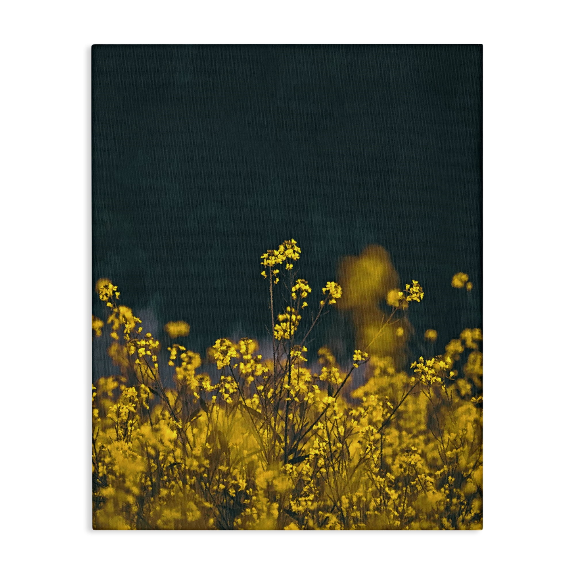Stupell Industries Marigold Meadow Flowers Plants & Flowers Photography Wrapped Canvas Art Print Wall Art, 16 x 20