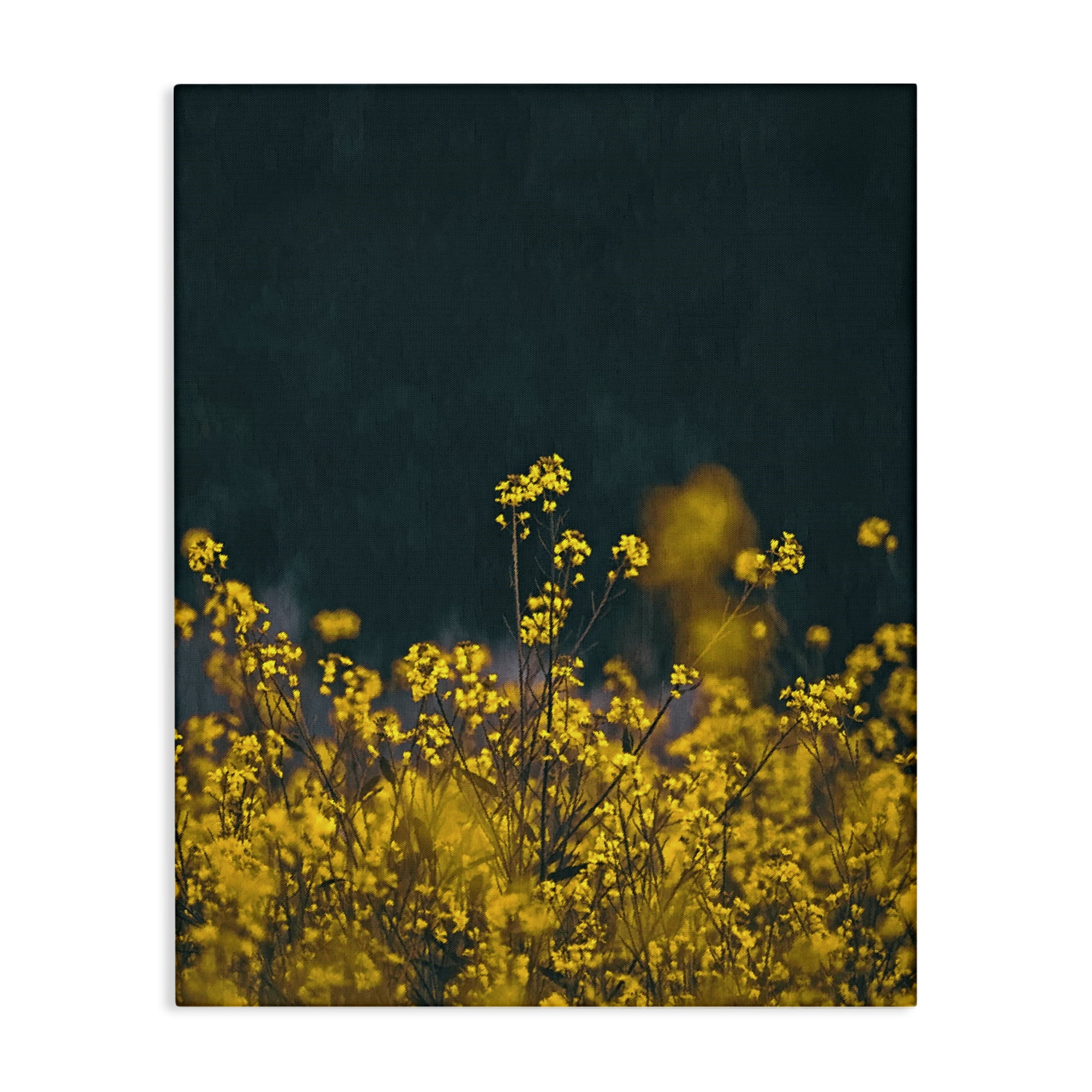 Stupell Industries Marigold Meadow Flowers Plants & Flowers Photography Wrapped Canvas Art Print Wall Art, 36 x 48