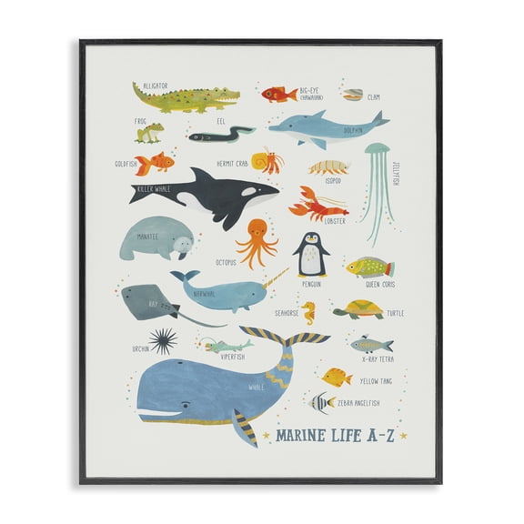 Stupell Industries Marine Life ABC Alphabet Education Painting Black Framed Art Print Wall Art, 11 x 14