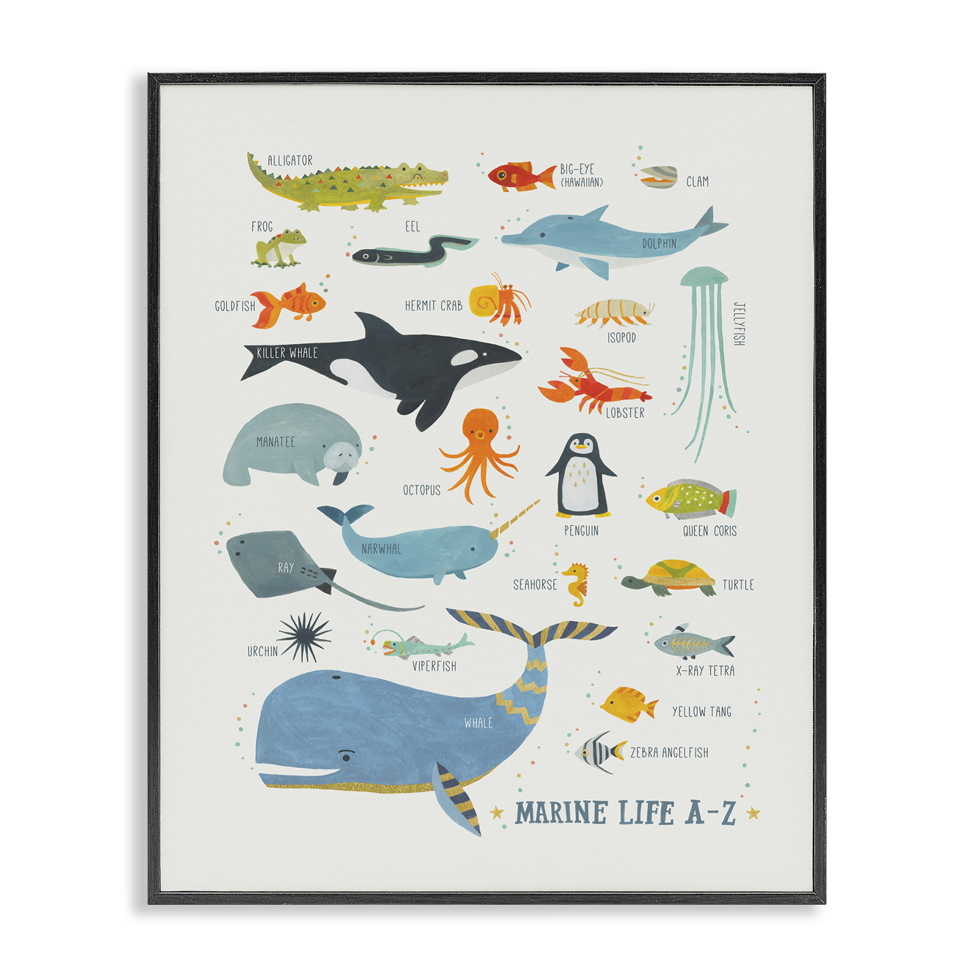 Stupell Industries Marine Life ABC Alphabet Education Painting Black Framed Art Print Wall Art, 16 x 20