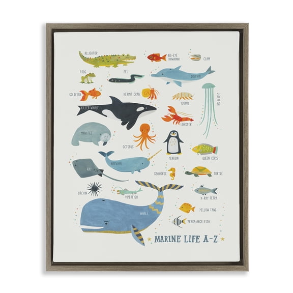 Stupell Industries Marine Life ABC Alphabet Education Painting Brown Floater Framed Canvas Art Print Wall Art, 17 x 21