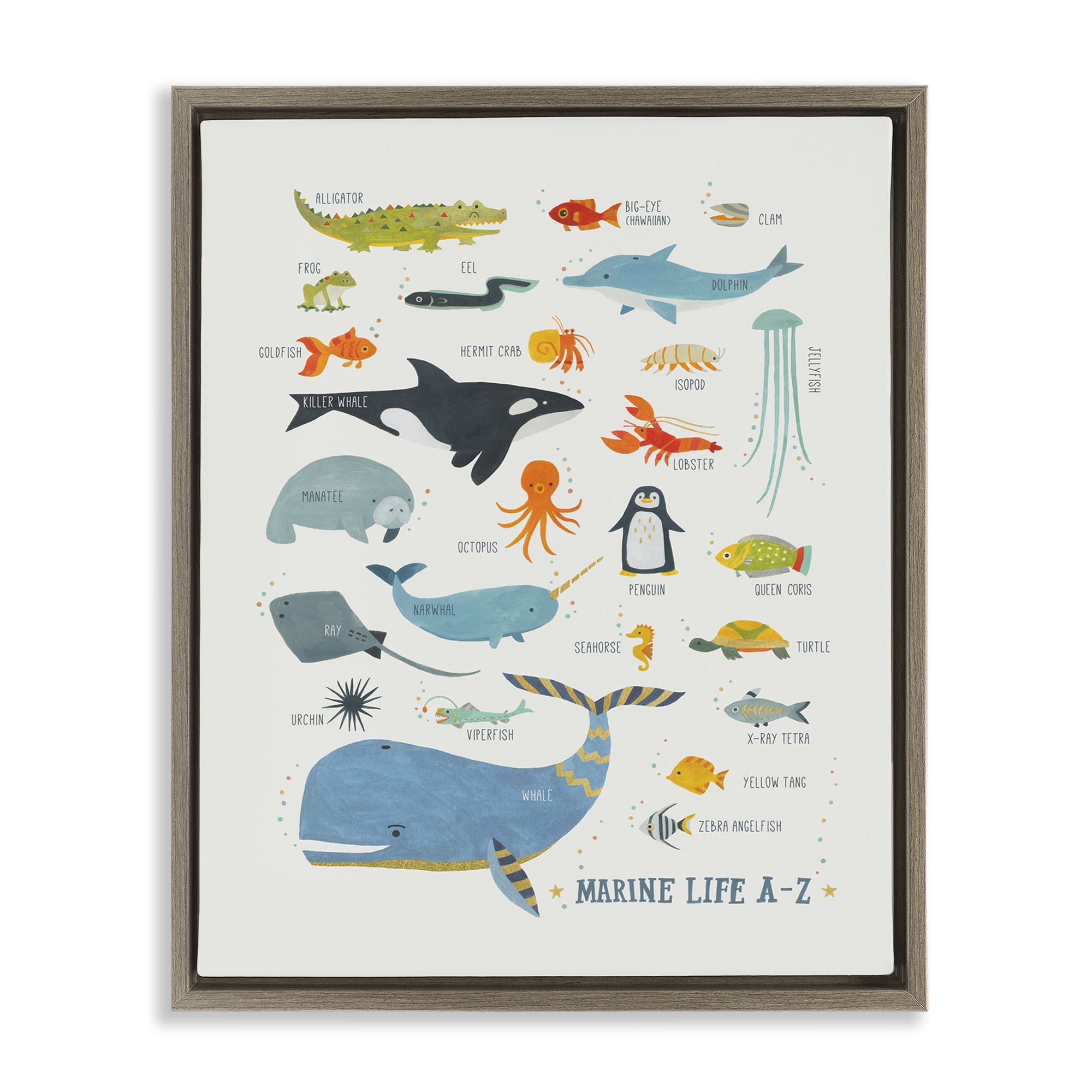 Stupell Industries Marine Life ABC Alphabet Education Painting Brown Floater Framed Canvas Art Print Wall Art, 25 x 31