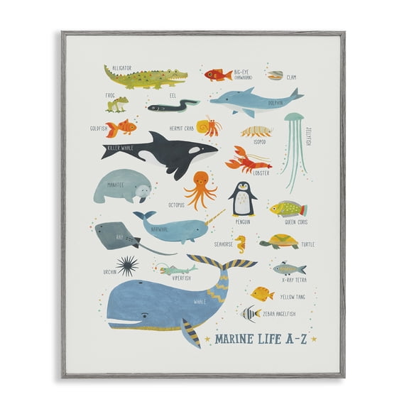 Stupell Industries Marine Life ABC Alphabet Education Painting Gray Framed Art Print Wall Art, 11 x 14