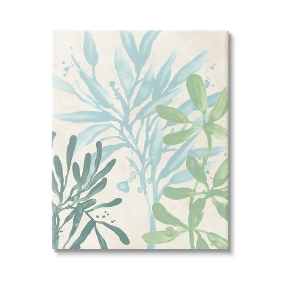 Stupell Industries Marine Seaweed Plant Leaves Graphic Art Gallery Wrapped Canvas Print Wall Art, Design by June Erica Vess
