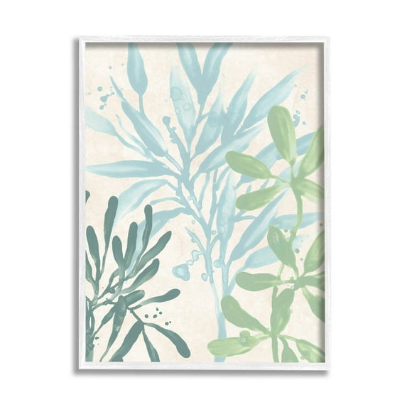 Stupell Industries Marine Seaweed Plant Leaves Graphic Art White Framed Art Print Wall Art, Design by June Erica Vess