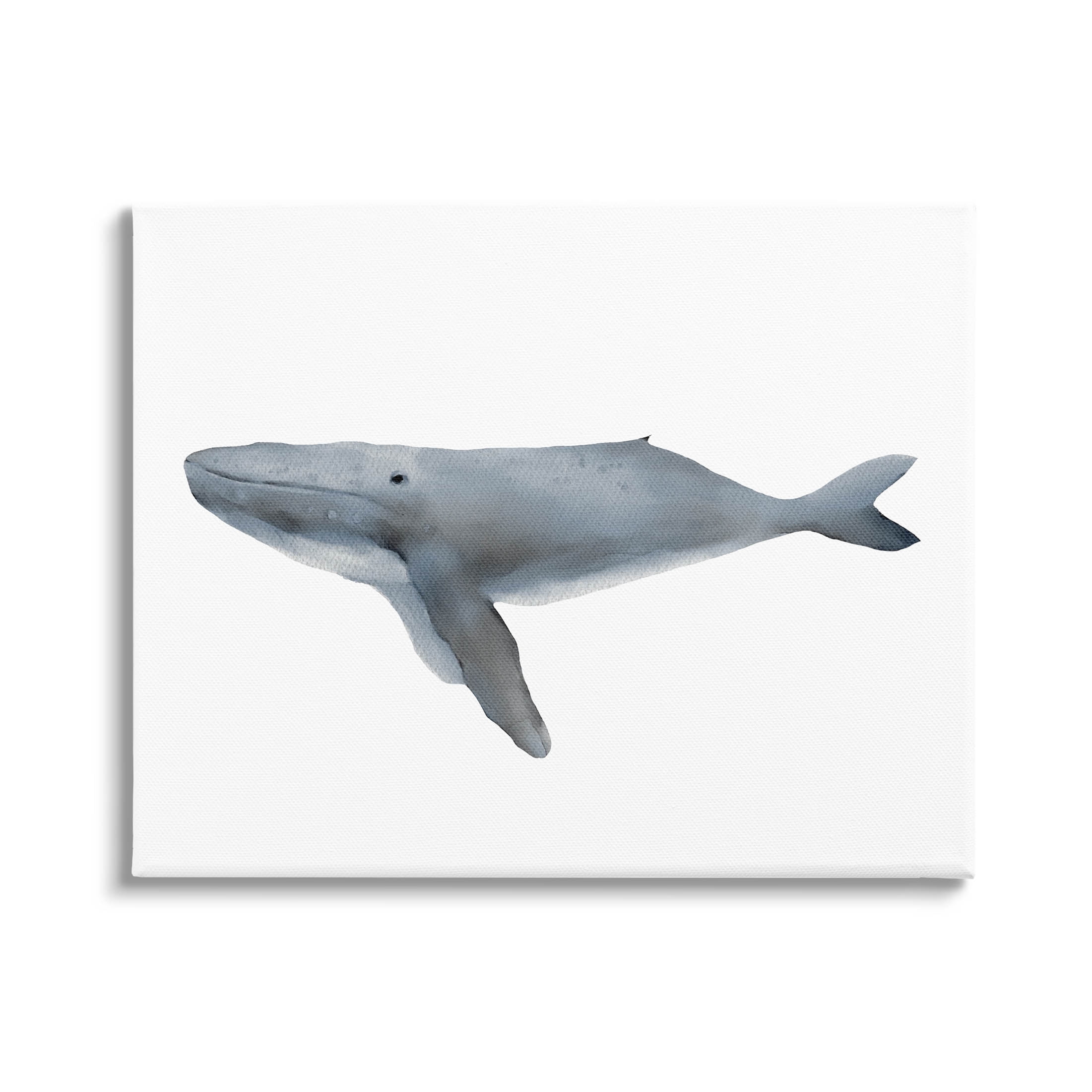 Stupell Industries Marine Whale Casual Sea Life Graphic Art Gallery Wrapped Canvas Print Wall Art, Design by Leah Straatsma