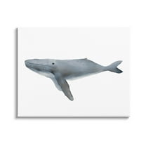 Stupell Industries Marine Whale Casual Sea Life Graphic Art Gallery Wrapped Canvas Print Wall Art, Design by Leah Straatsma