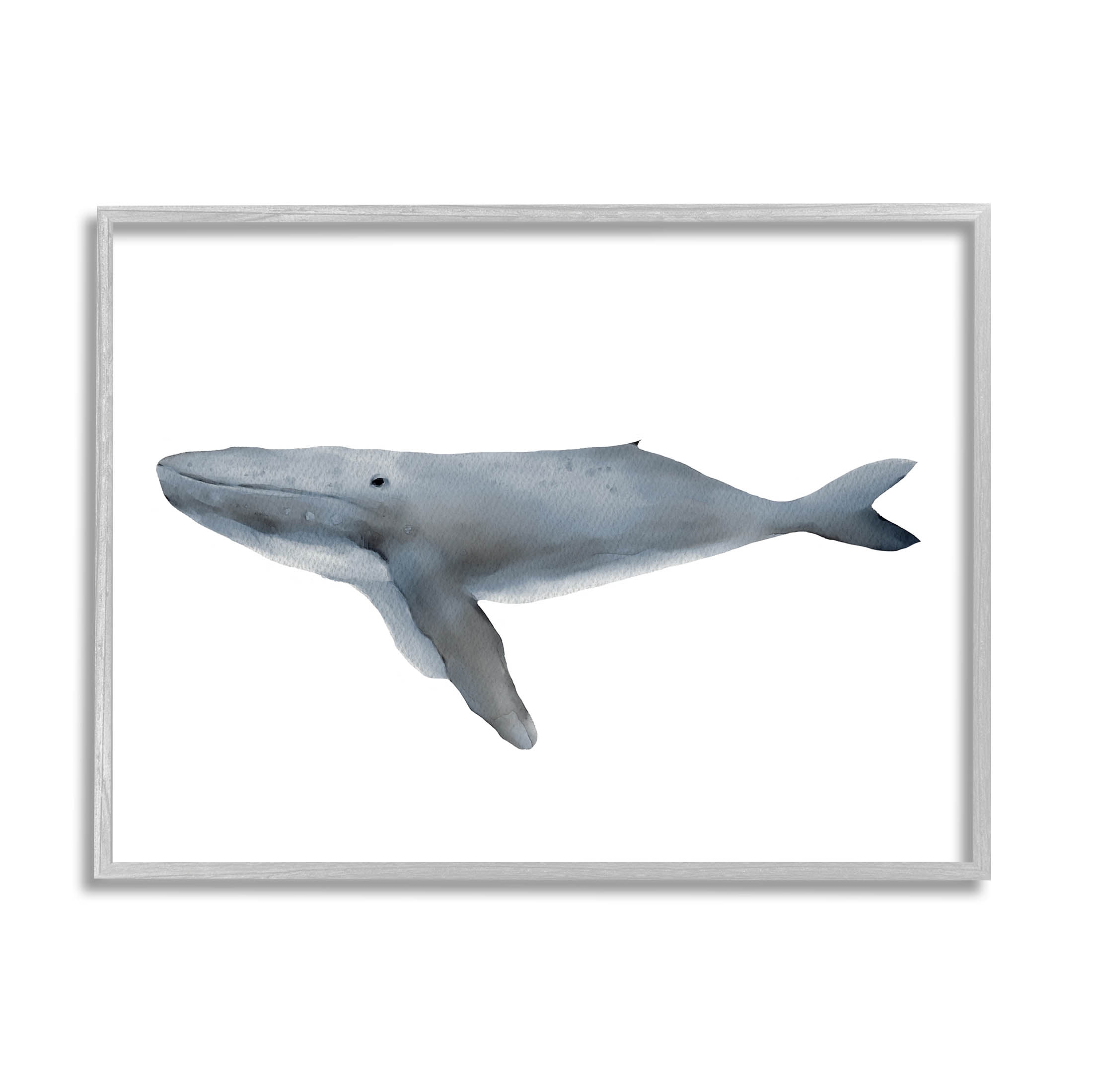 Stupell Industries Marine Whale Casual Sea Life Graphic Art Gray Framed Art Print Wall Art, Design by Leah Straatsma