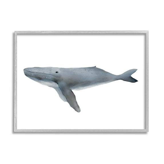Stupell Industries Marine Whale Casual Sea Life Graphic Art Gray Framed Art Print Wall Art, Design by Leah Straatsma