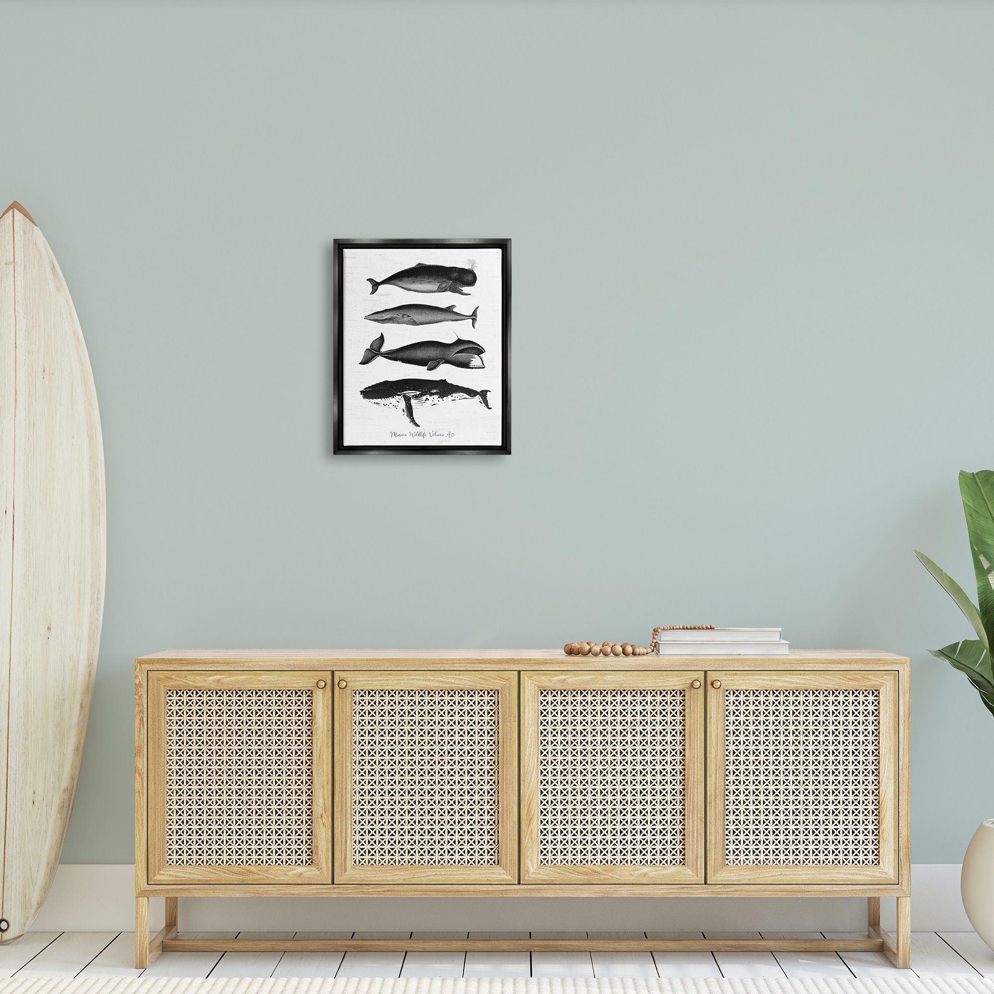 Stupell Industries Marine Wildlife Whales Drawings Diagram Weathered Pattern Graphic Art Jet Black Floating Framed Canvas Print Wall Art, Design by Lettered and Lined