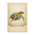 thumbnail image 1 of Stupell Industries Eclectic Maritime Bathing Society Turtle Canvas Art, 16 x 24, by Grotto Studios, 1 of 8
