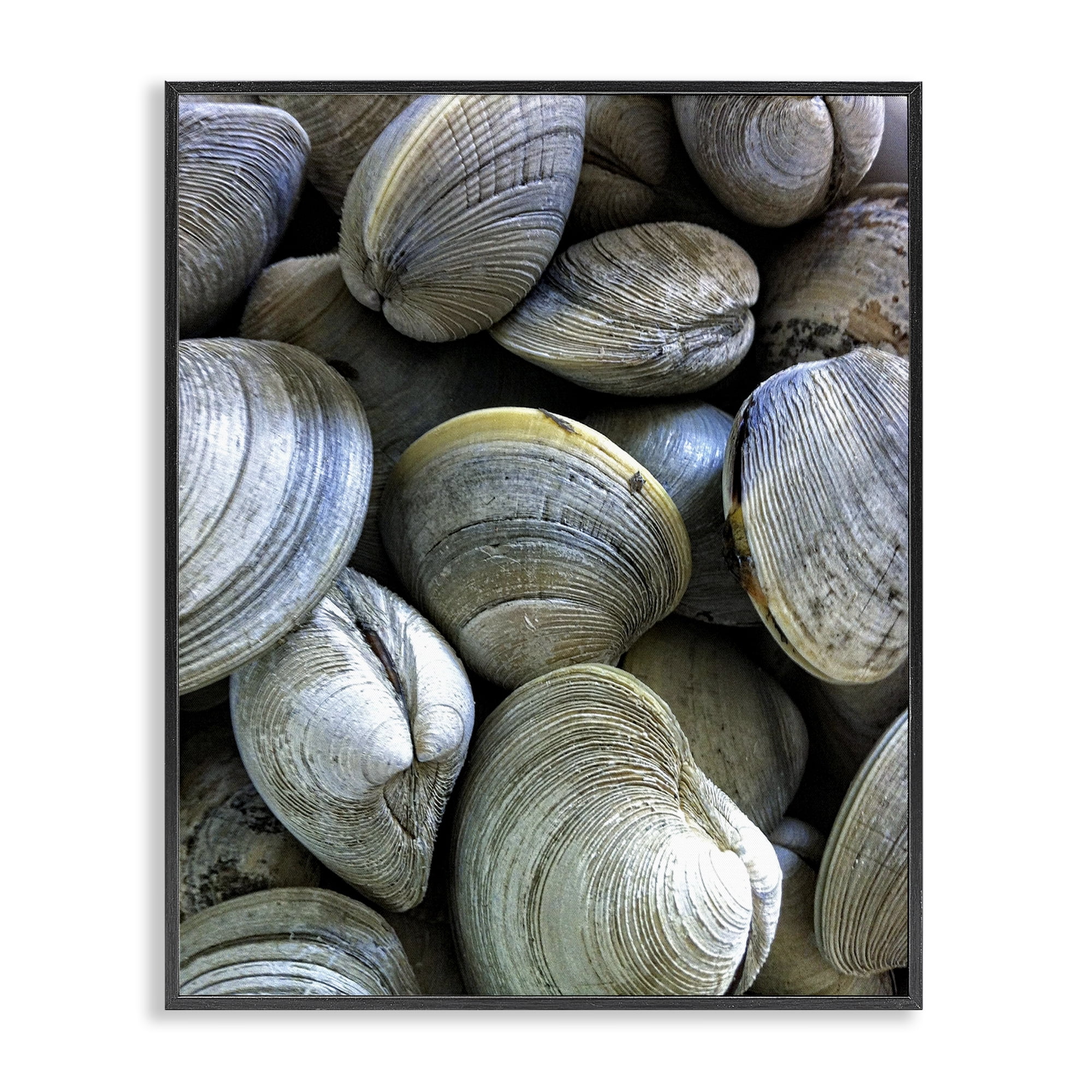 Stupell Industries Maritime Clams Pile Nautical & Beach Photography Black Framed Art Print Wall Art, 16 x 20
