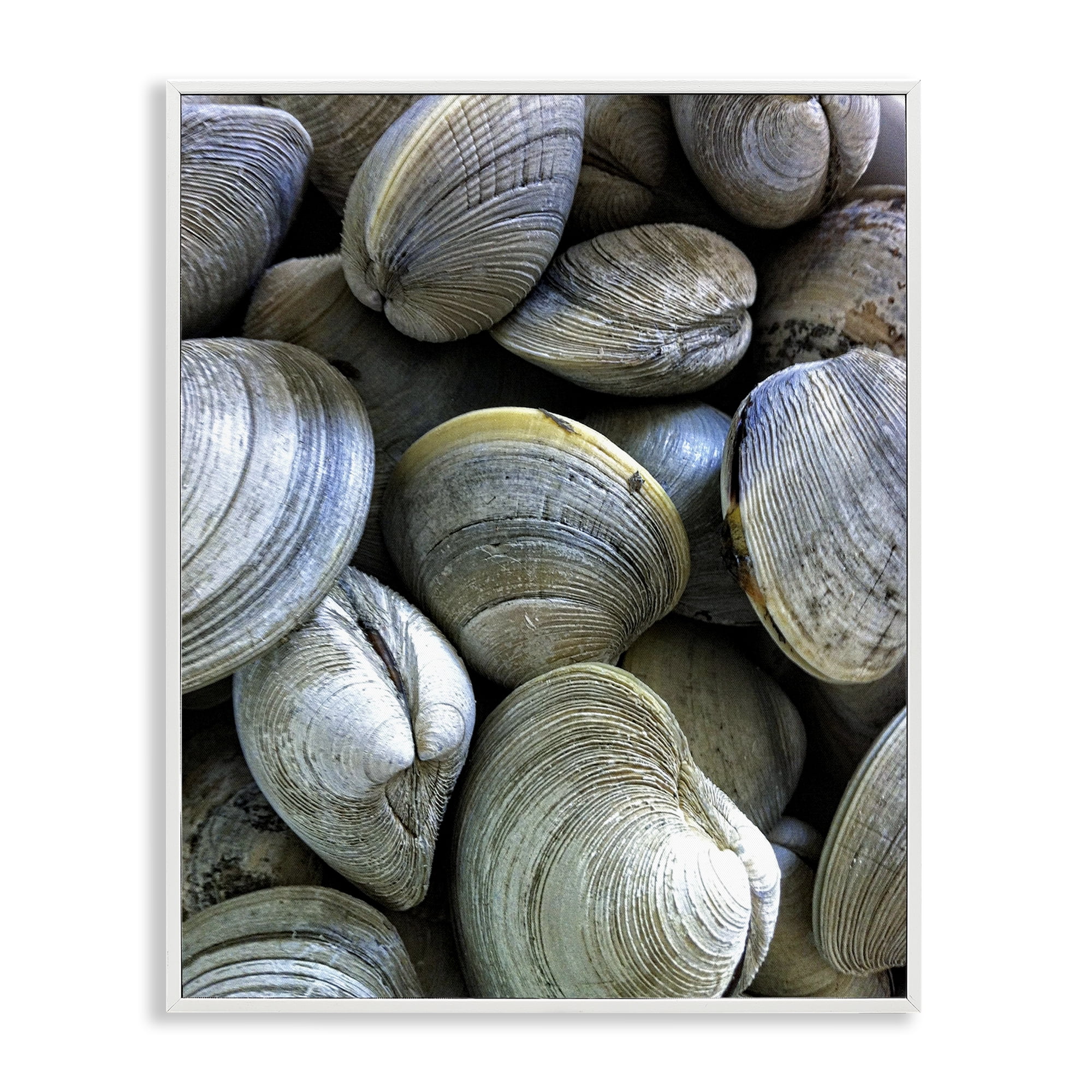 Stupell Industries Maritime Clams Pile Nautical & Beach Photography White Framed Art Print Wall Art, 16 x 20