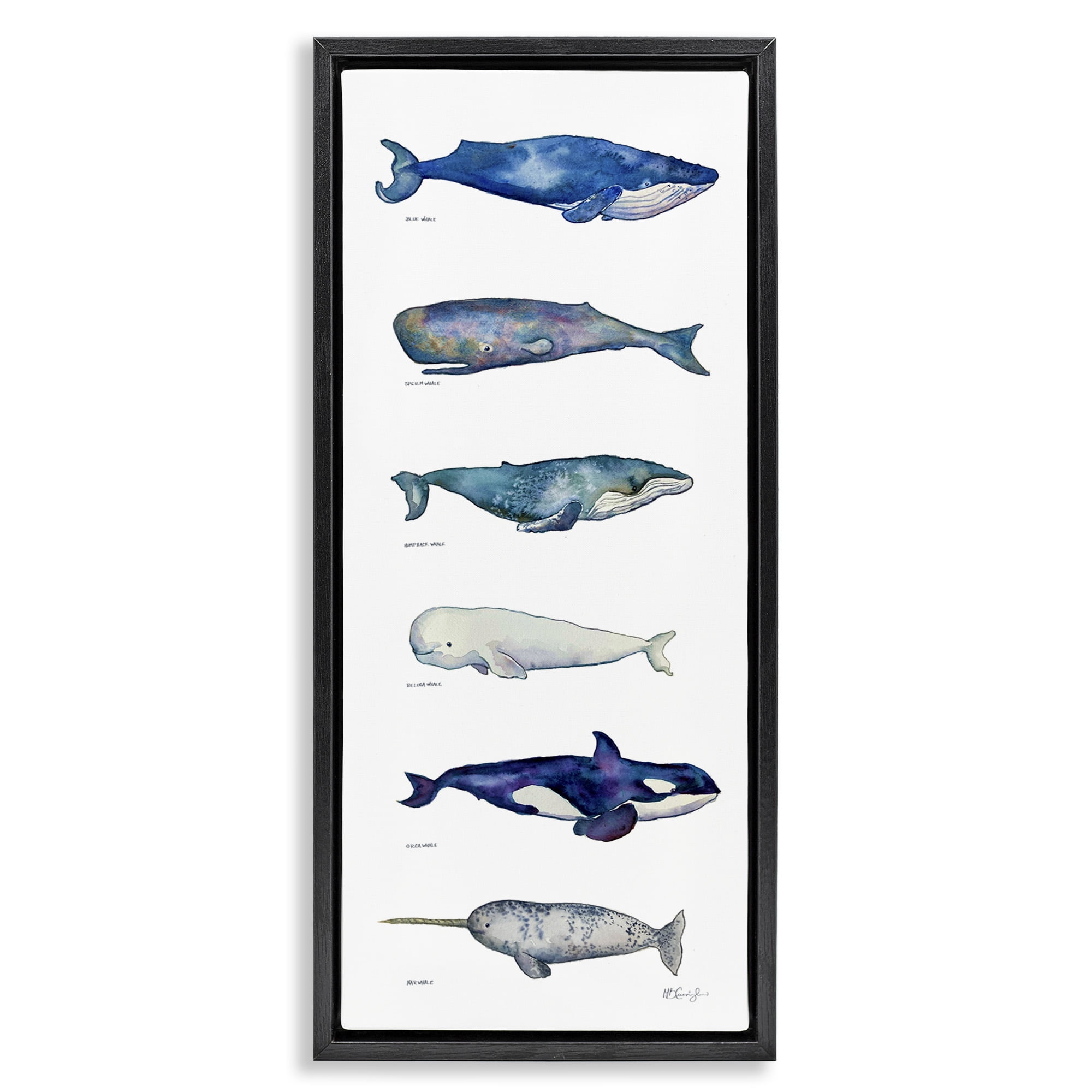 Black Framed Canvas Print of Marine Animals, 11" x 25"