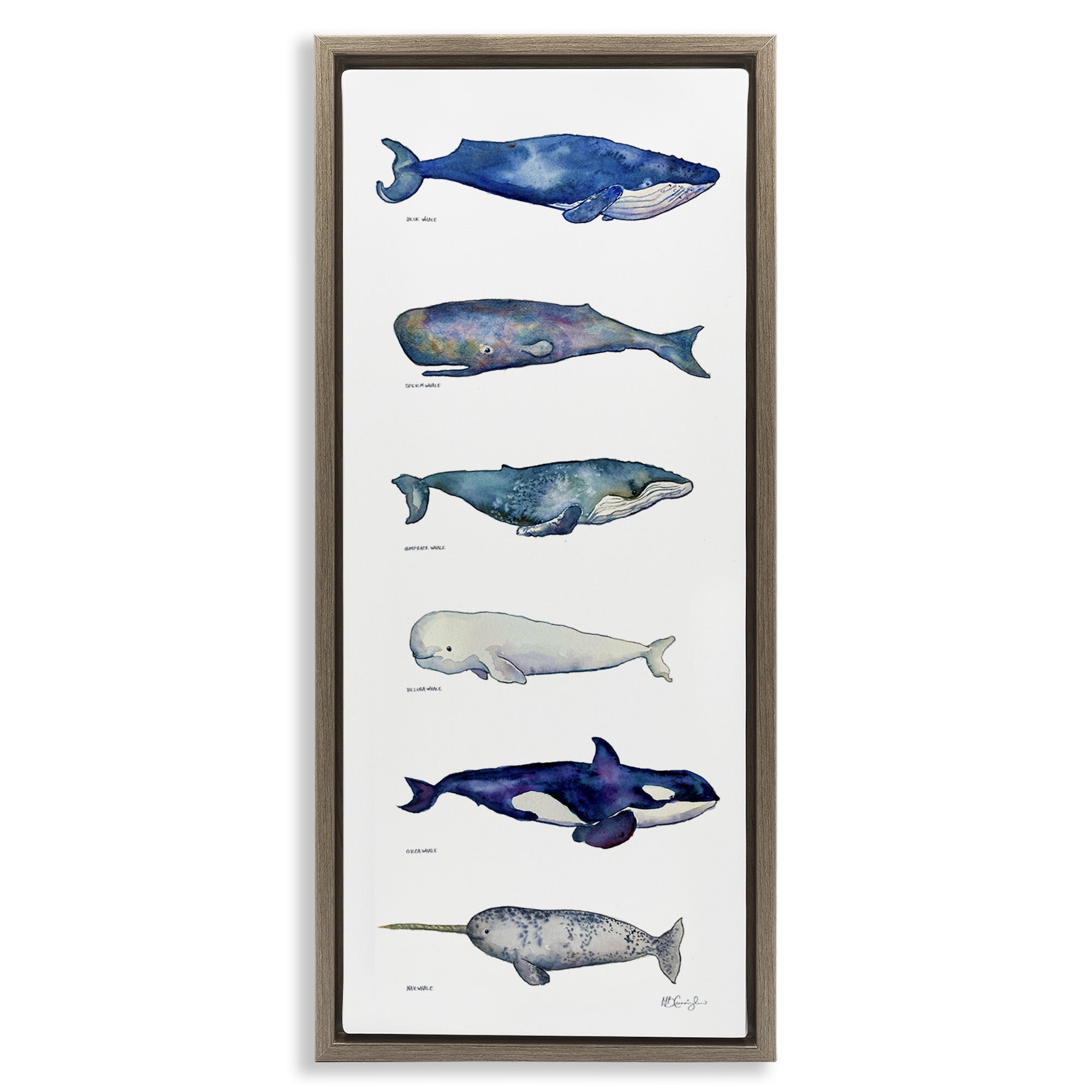 Stupell Industries Maritime Sea Life Chart Animals & Insects Painting Brown Floater Framed Canvas Art Print Wall Art, 15 x 31