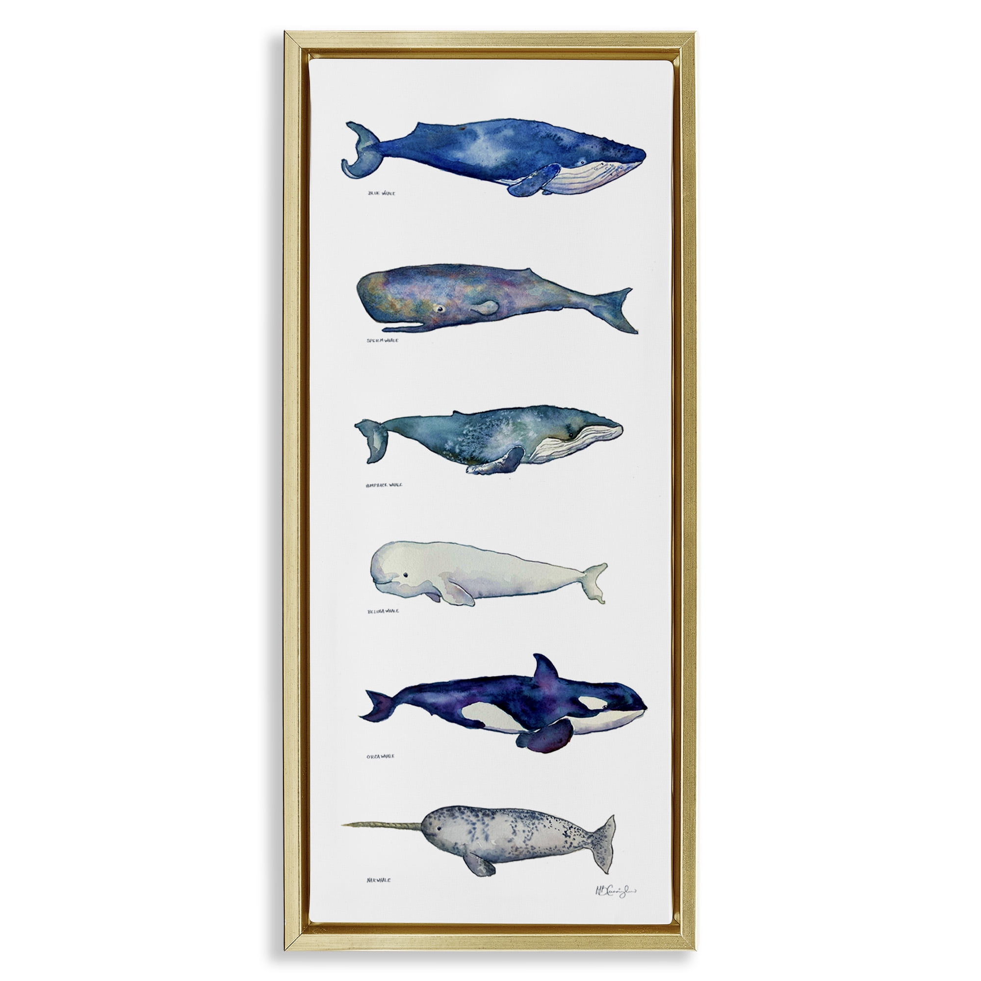Stupell Industries Maritime Sea Life Chart Animals & Insects Painting Gold Floater Framed Canvas Art Print Wall Art, 11 x 25