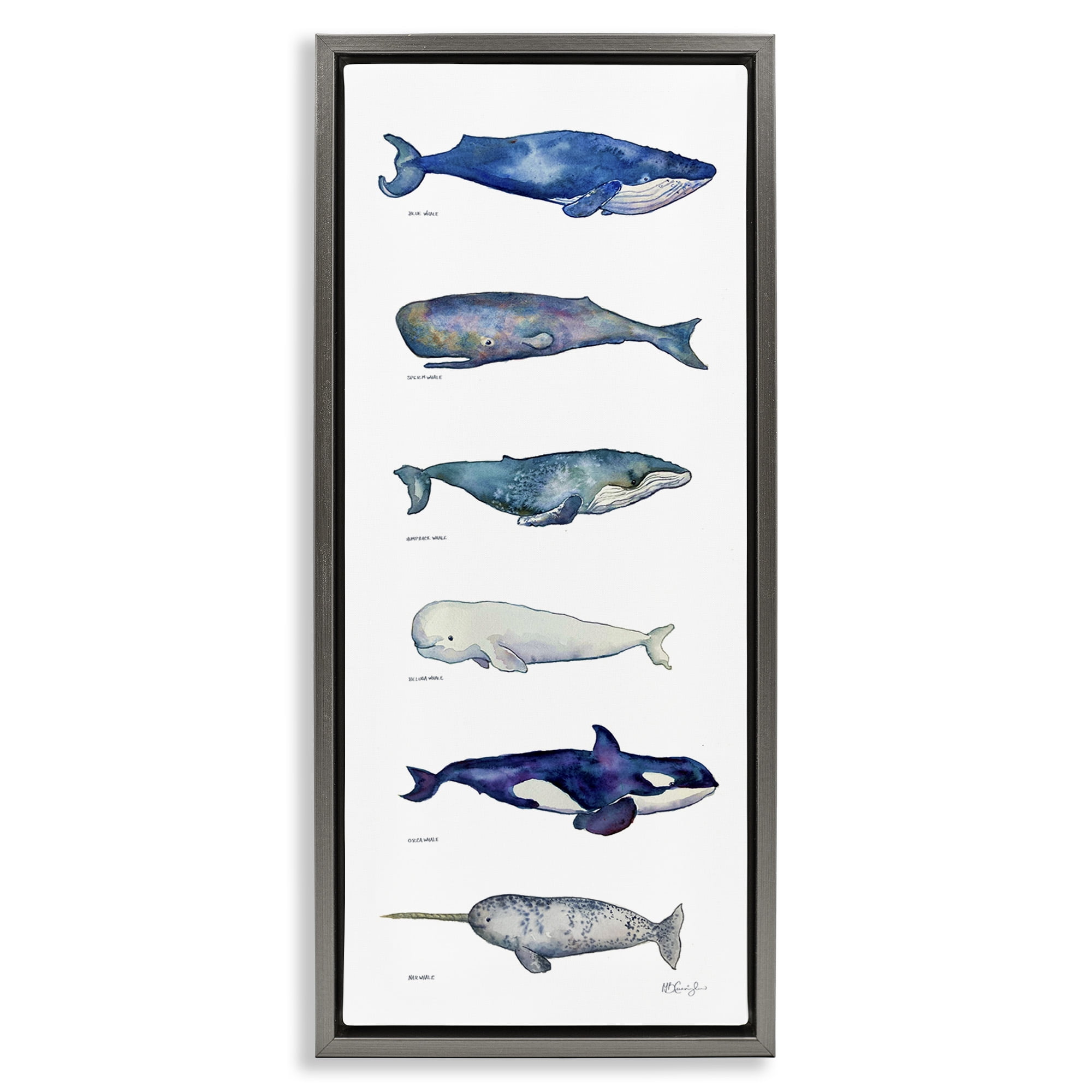 Gray Framed Maritime Sea Life Canvas Print, 11" x 25"