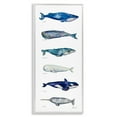 thumbnail image 1 of Stupell Industries Maritime Sea Life Ocean Whales Narwhal Chart Diagram , 13 x 30, Design by MB Cunningham, 1 of 5