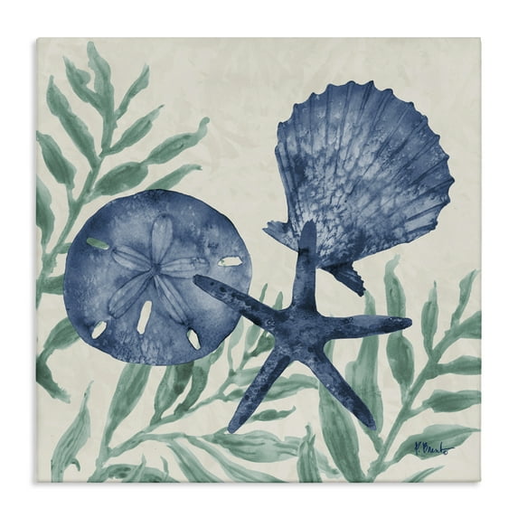 Stupell Industries Maritime Tampico Shells Canvas Wall Art design by Paul Brent, 24 x 24