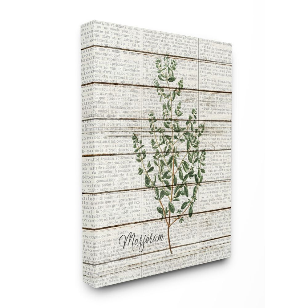 Stupell Industries Marjoram Vintage Herb Kitchen Dining Room Word Collage Design Canvas Wall Art by Kimberly Allen