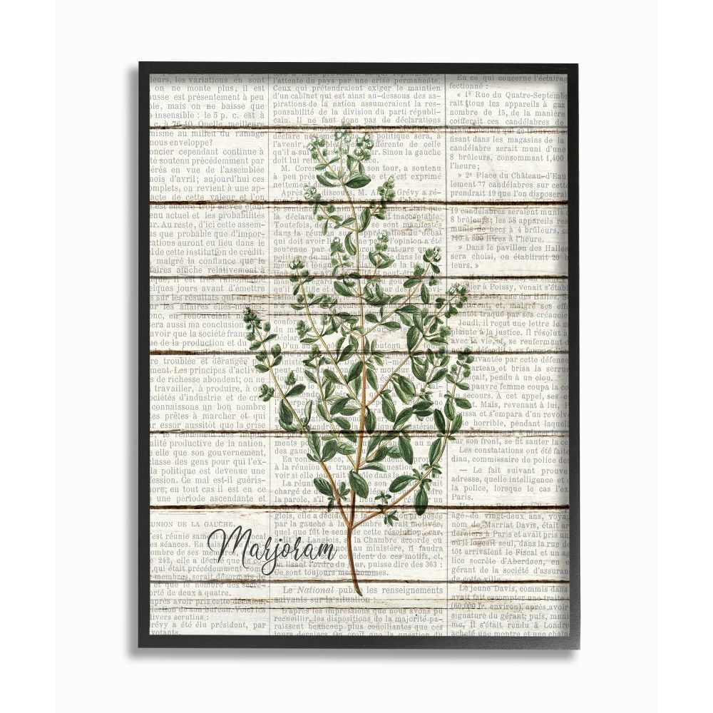 Stupell Industries Marjoram Vintage Herb Kitchen Dining Room Word Collage Design Framed Giclee Texturized Art by Kimberly Allen