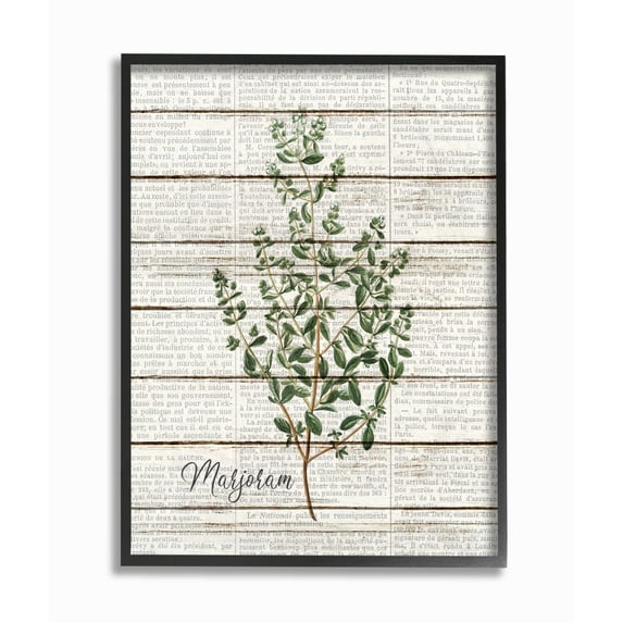 Stupell Industries Marjoram Vintage Herb Kitchen Dining Room Word Collage Design Framed Giclee Texturized Art by Kimberly Allen