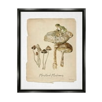 Stupell Industries Marshland Mushrooms & Frog Botanical & Floral Painting Black Floater Framed Canvas Art Print Wall Art, 17 x 21