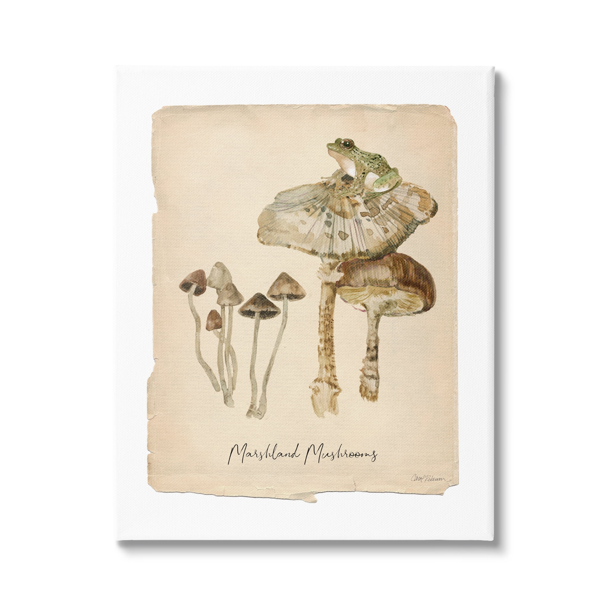 Stupell Industries Marshland Mushrooms & Frog Botanical & Floral Painting Gallery Wrapped Canvas Art Print Wall Art, 24 x 30