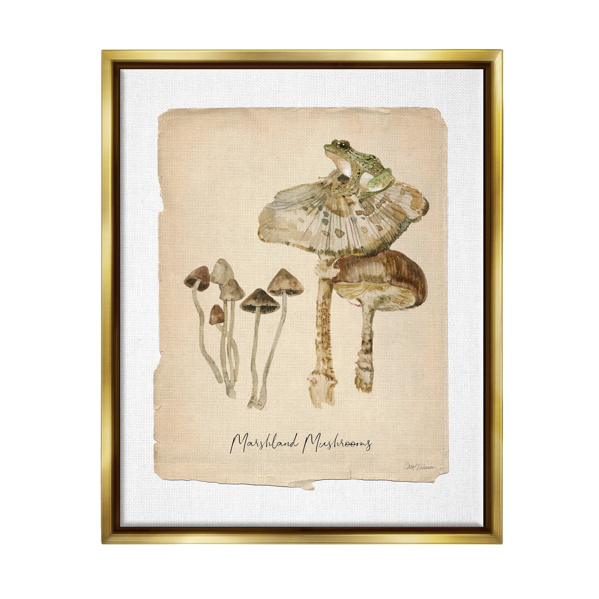 Stupell Industries Marshland Mushrooms & Frog Botanical & Floral Painting Gold Floater Framed Canvas Art Print Wall Art, 17 x 21
