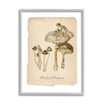 thumbnail image 1 of Stupell Industries Marshland Mushrooms & Frog Botanical & Floral Painting Gray Framed Art Print Wall Art, 11 x 14, 1 of 9