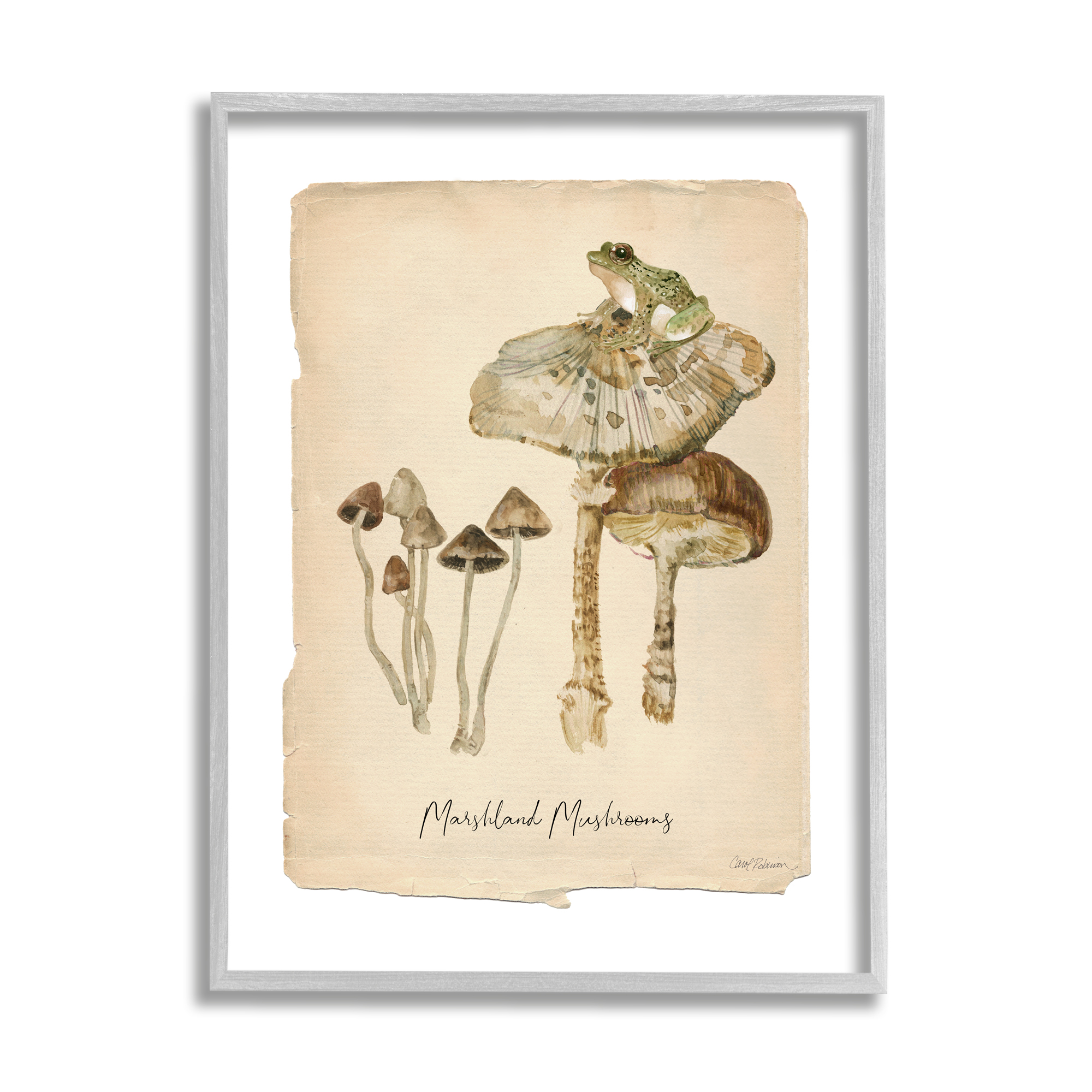 Stupell Industries Marshland Mushrooms & Frog Botanical & Floral Painting Gray Framed Art Print Wall Art, 24 x 30