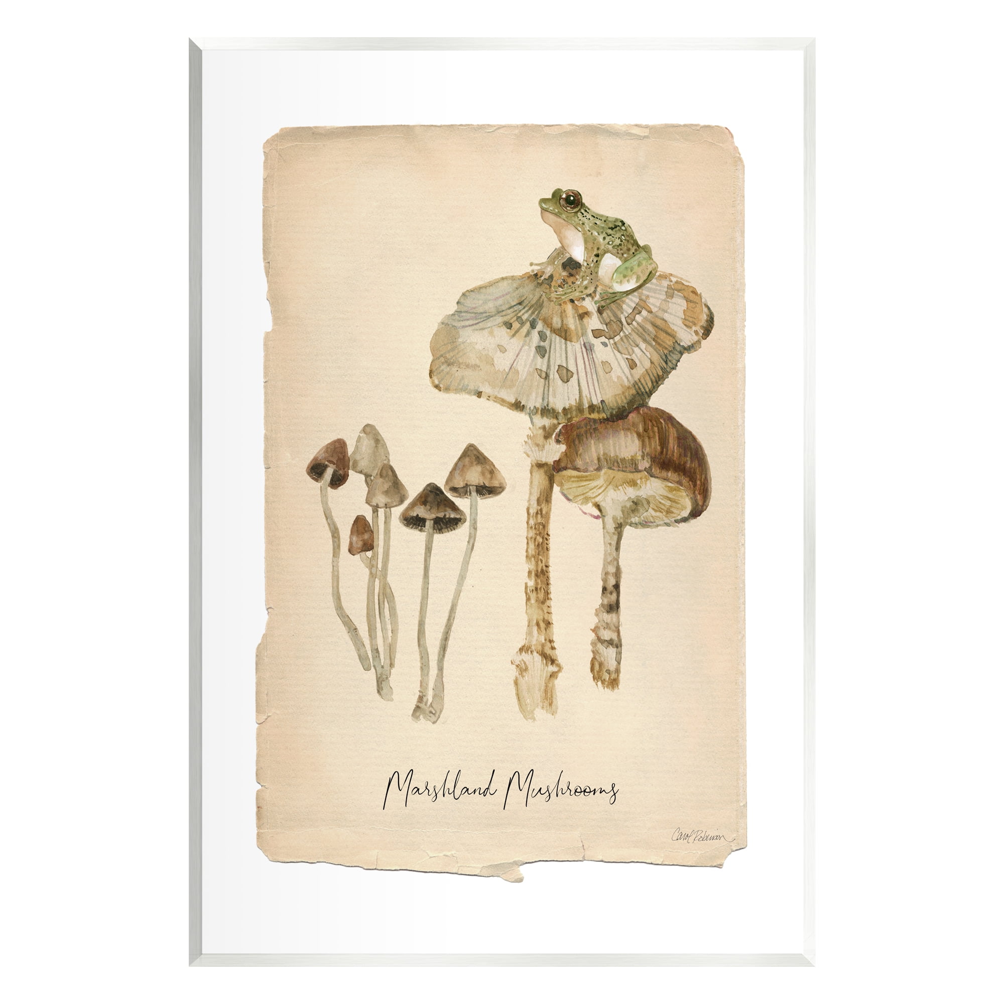 Stupell Industries Marshland Mushrooms & Frog Botanical & Floral Painting Unframed Art Print Wall Art, 13 x 19