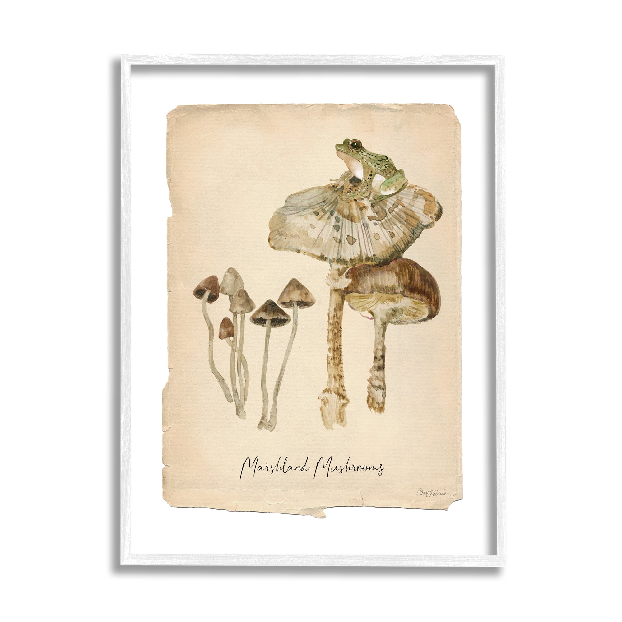 Stupell Industries Marshland Mushrooms & Frog Botanical & Floral Painting White Framed Art Print Wall Art, 16 x 20