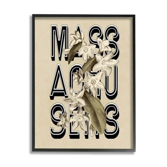 Stupell Industries Massachusetts State Mayflower Blossoms Intertwining Typography Graphic Art Black Framed Art Print Wall Art, Design by Daphne Polselli