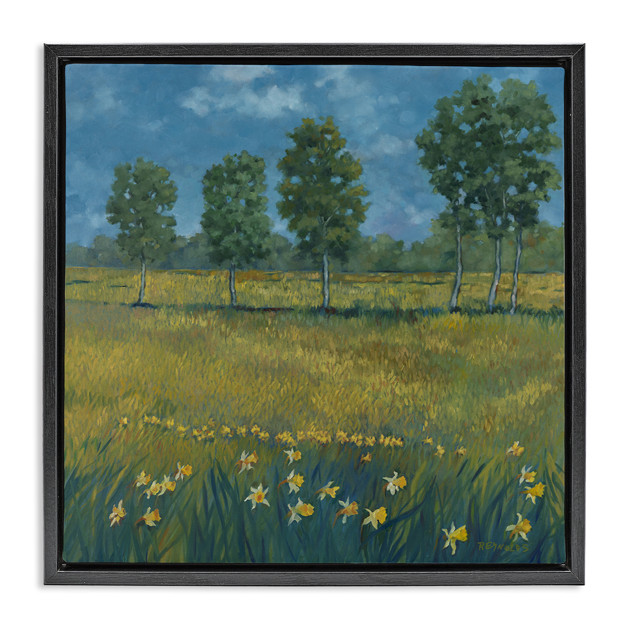 Stupell Industries Meadow with Daffodils Landscape & Nature Painting Black Floater Framed Canvas Art Print Wall Art, 25 x 25