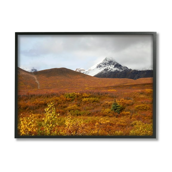 Stupell Industries Meadow with Distant Peak Landscape Photography Black Framed Art Print Wall Art, 14 x 11