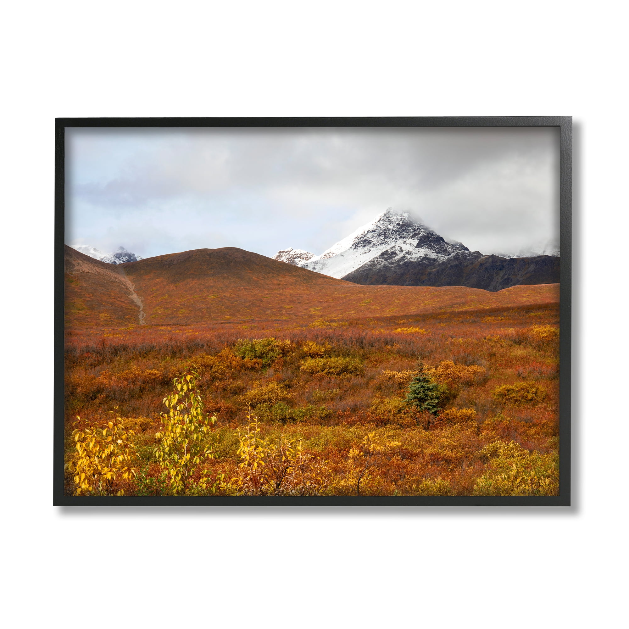 Stupell Industries Meadow with Distant Peak Landscape Photography Black Framed Art Print Wall Art, 30 x 24