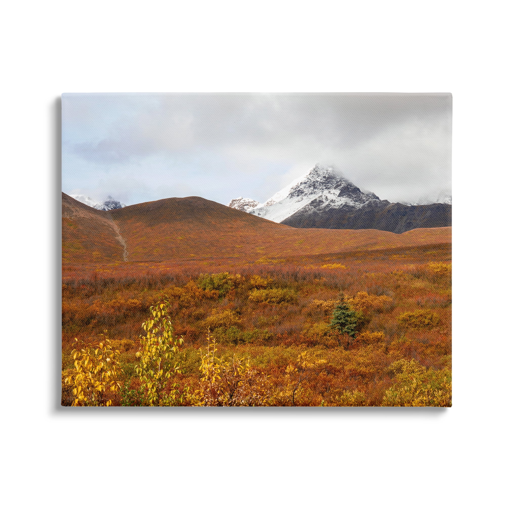 Stupell Industries Meadow with Distant Peak Landscape Photography Gallery Wrapped Canvas Art Print Wall Art, 40 x 30