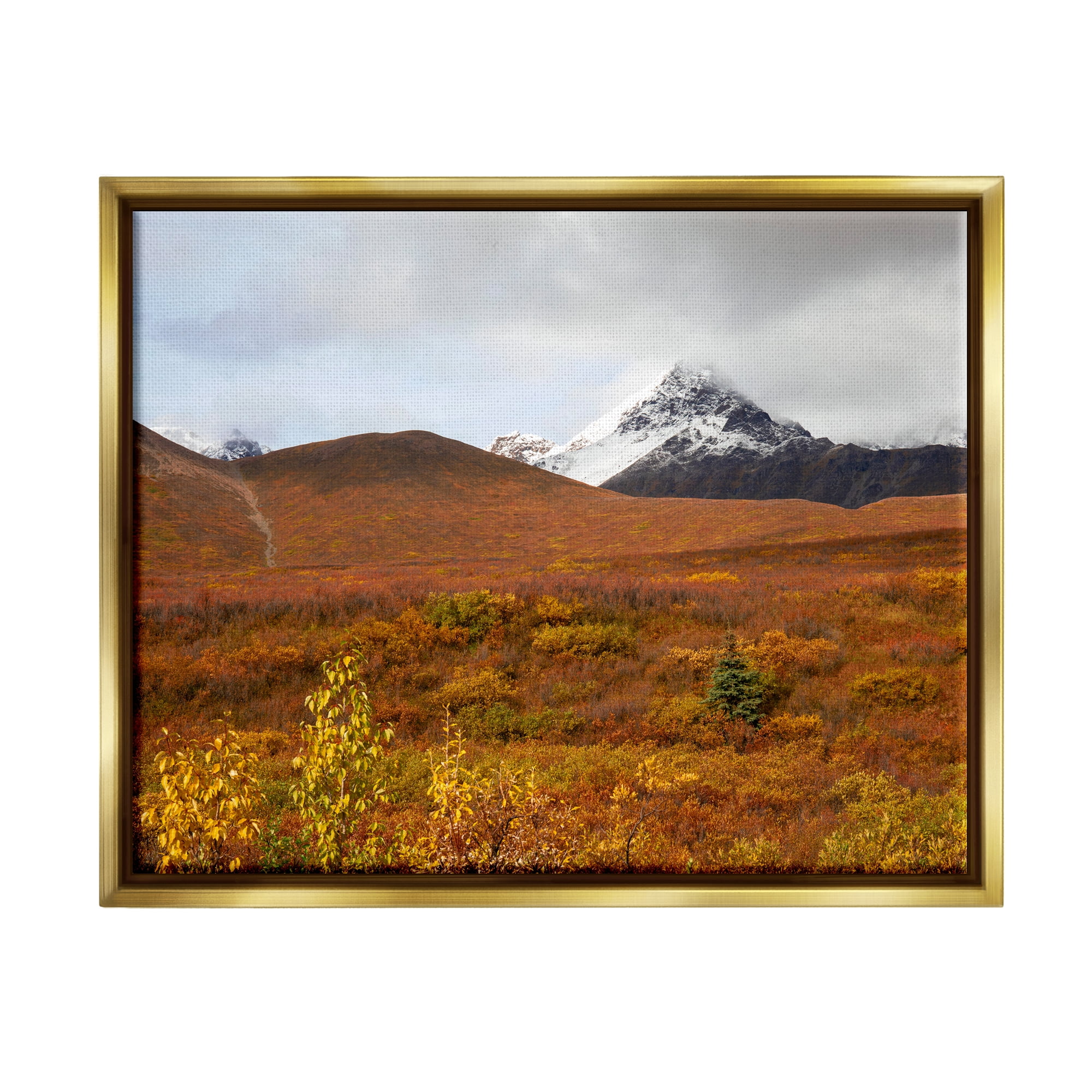 Stupell Industries Meadow with Distant Peak Landscape Photography Gold Floater Framed Canvas Art Print Wall Art, 31 x 25