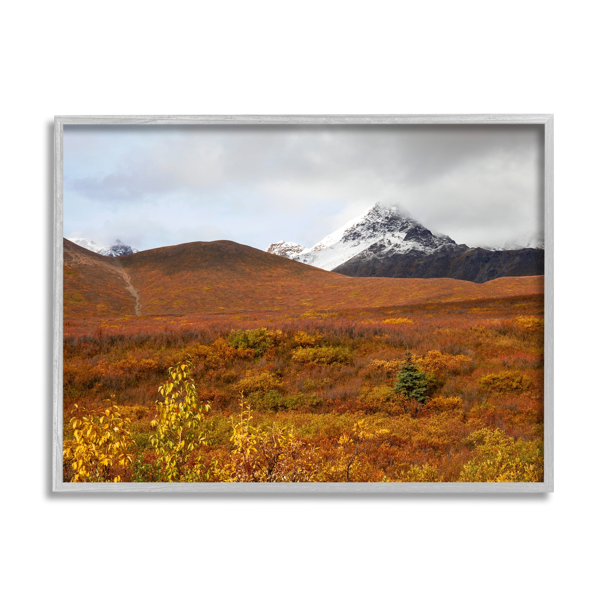 Stupell Industries Meadow with Distant Peak Landscape Photography Gray Framed Art Print Wall Art, 30 x 24