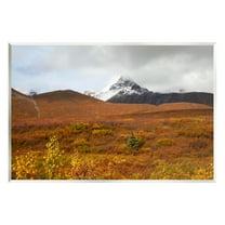 Stupell Industries Meadow with Distant Peak Landscape Photography Unframed Art Print Wall Art, 15 x 10