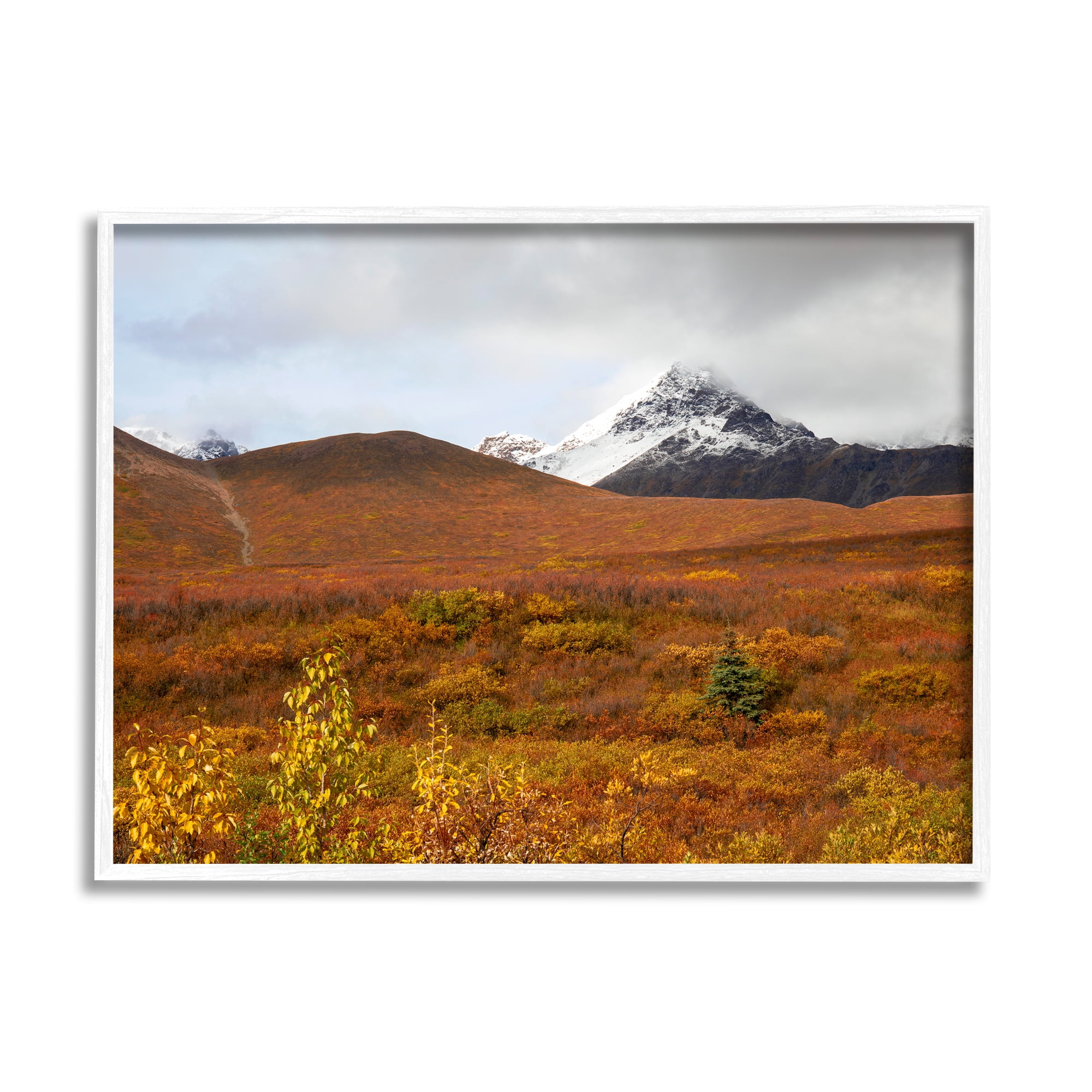 Stupell Industries Meadow with Distant Peak Landscape Photography White Framed Art Print Wall Art, 14 x 11
