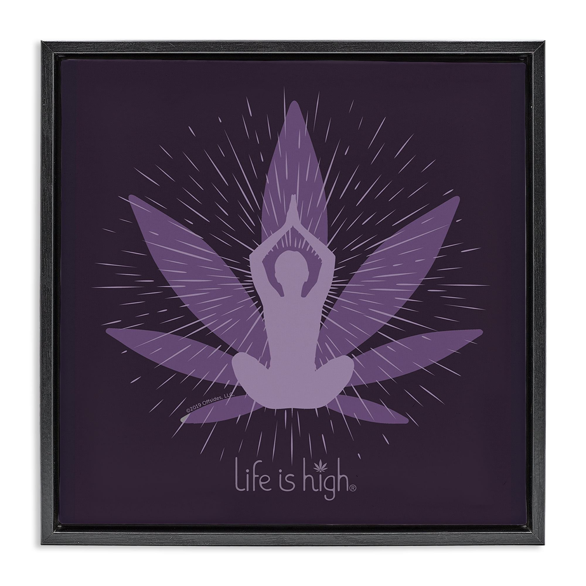 Stupell Industries Meditating Mindful Plant Novelty & Humor Painting Black Floater Framed Canvas Art Print Wall Art, 25 x 25